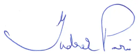 Handwritten signature of Indrek Pari